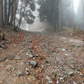 暫くして、登山道へ