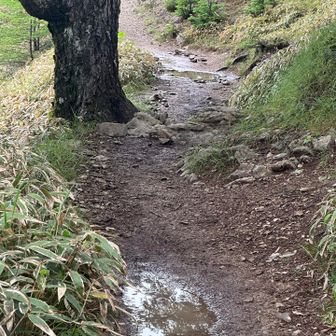 多少水が溜まってますが問題なし