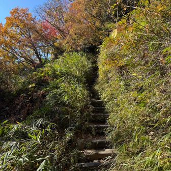 さあ、登山開始❗️