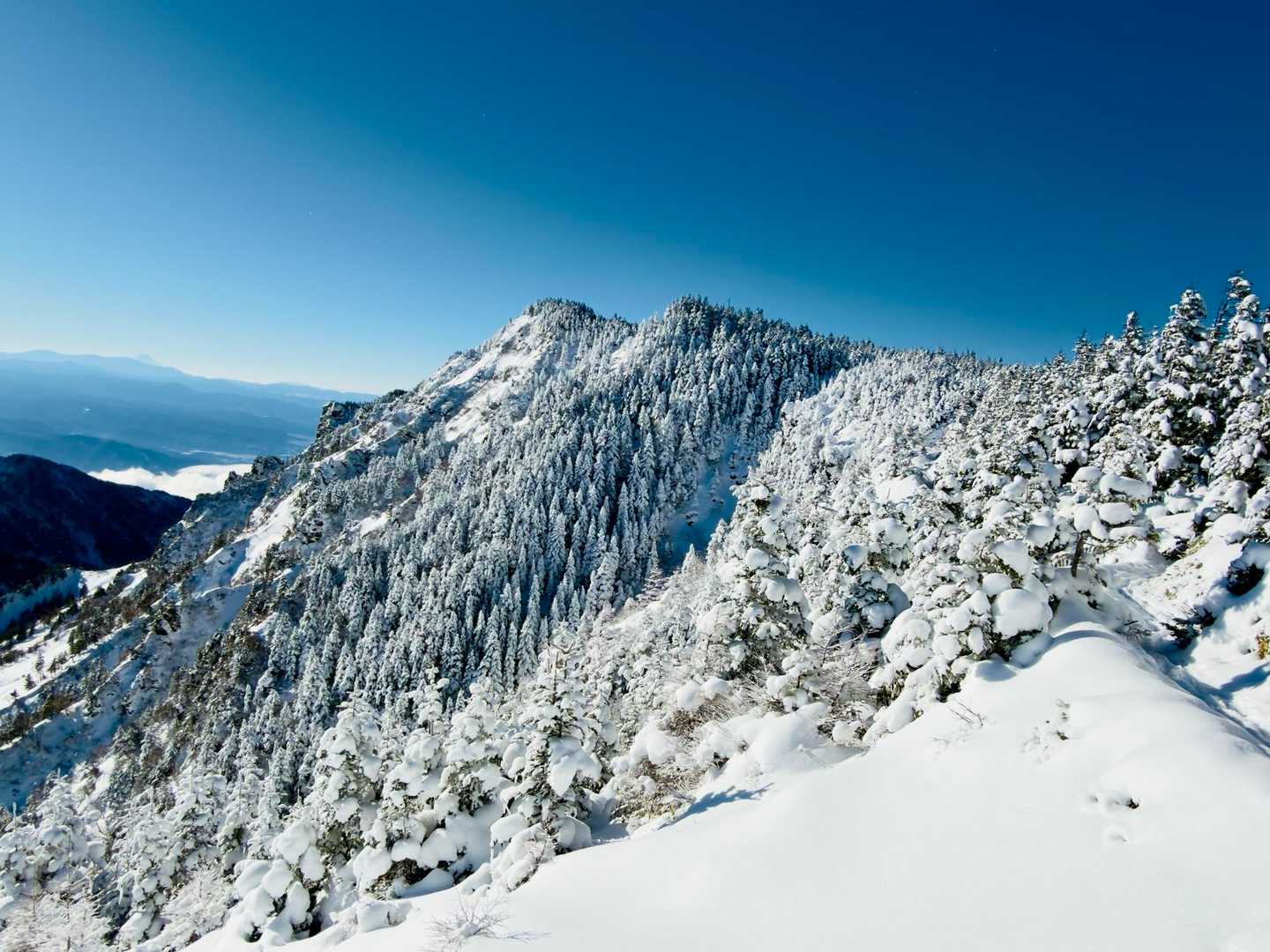 表コース-トーミの頭-黒斑山-蛇骨岳-中コースの写真