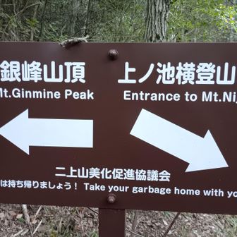 ココで銀峰方面に行くと
秋海棠に会えない