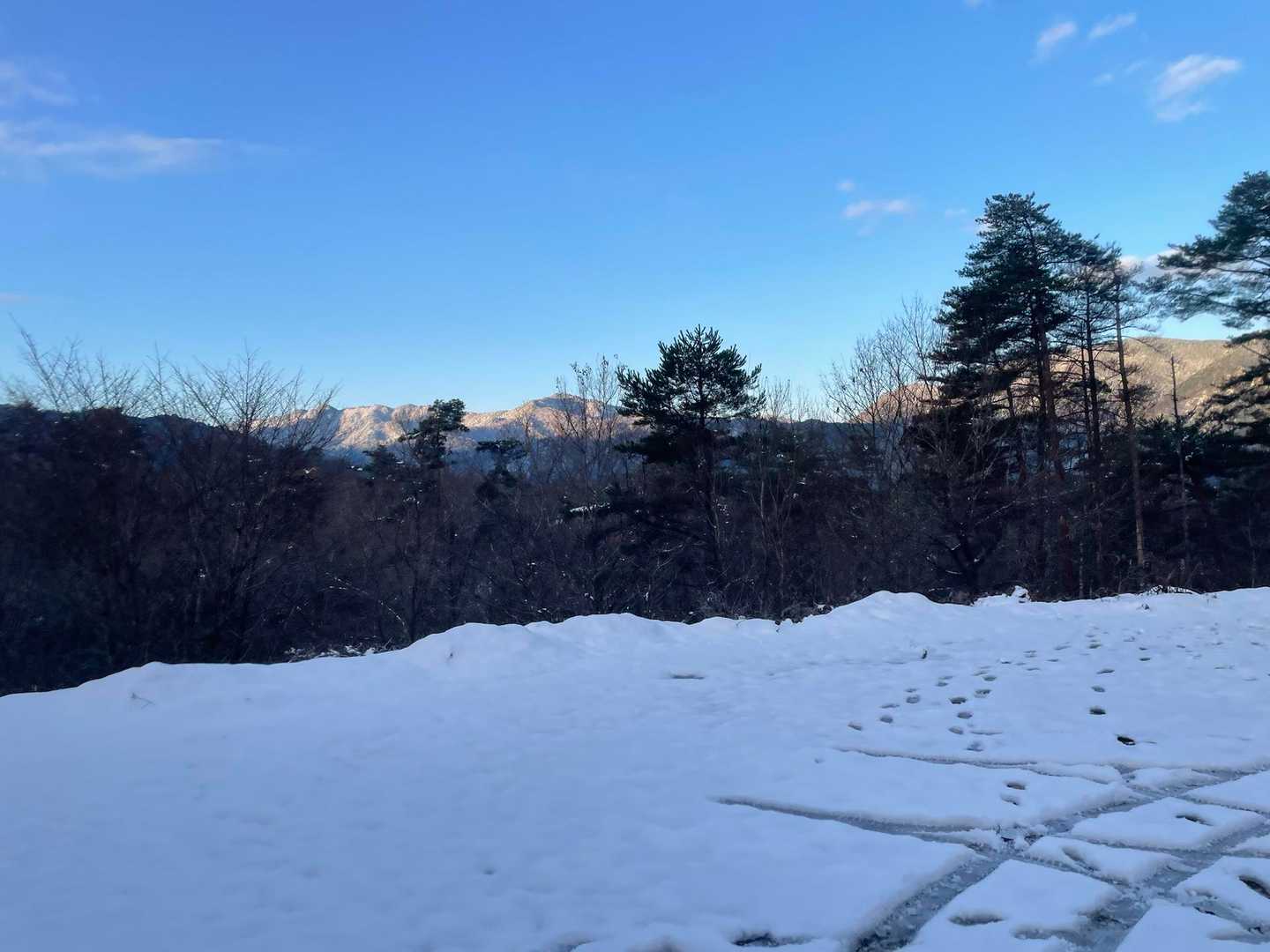 青空✨
昨日降った雪のおかげで楽しめそう😊