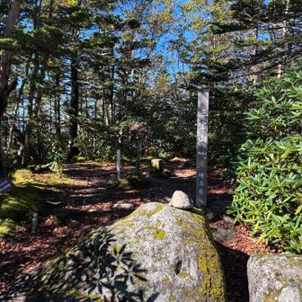 三宝山。この付近では動物の骨を発見。