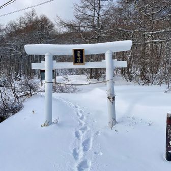 お邪魔します🙏
先行者1人いそうだね👀