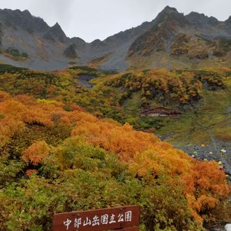 車好きのおっさん