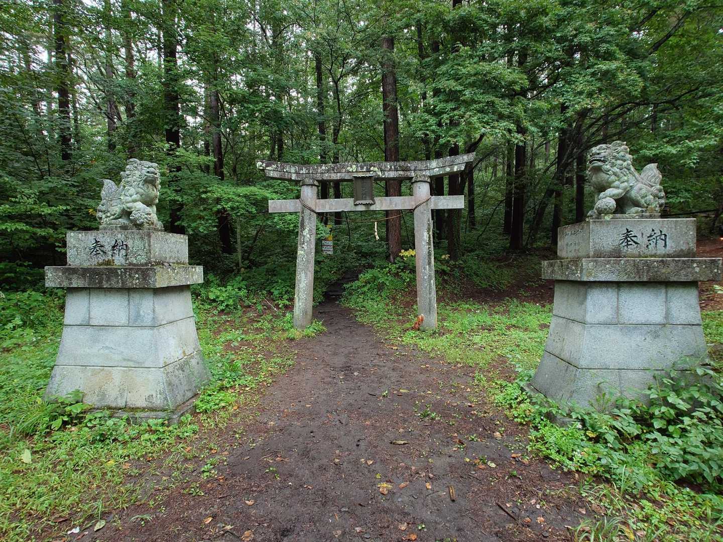 いつもの一の鳥居からスタート。