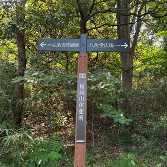 二つ目の山　稲荷山
眺望はあまりなし