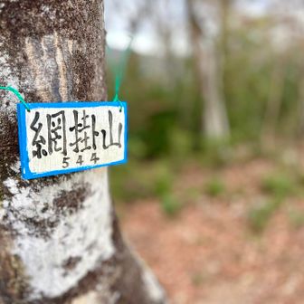 直ぐに網掛山山頂⛰️
展望は有りません❗️