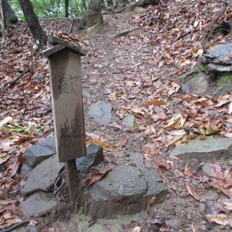 登山道であまり見ないタイプの看板。足元だし見逃しそう