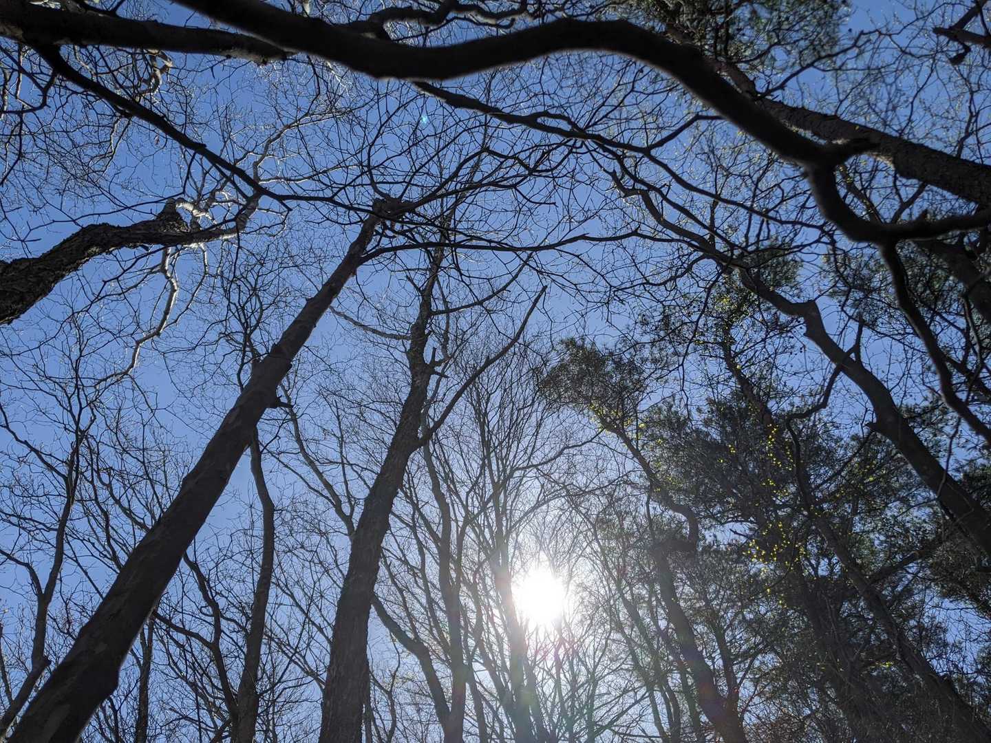 登山日より😊