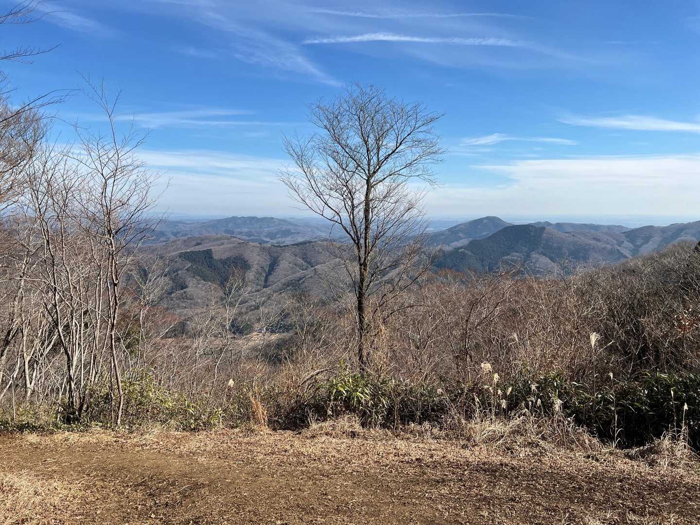 山頂からの眺め