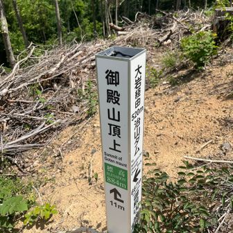 御殿山山頂