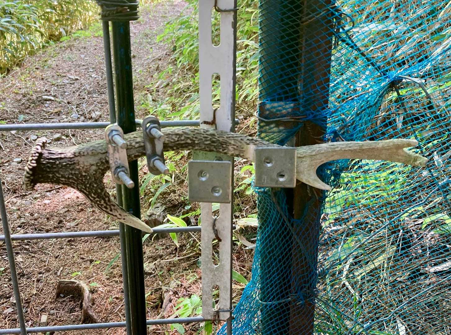 那須ヶ原山 往復コースの写真