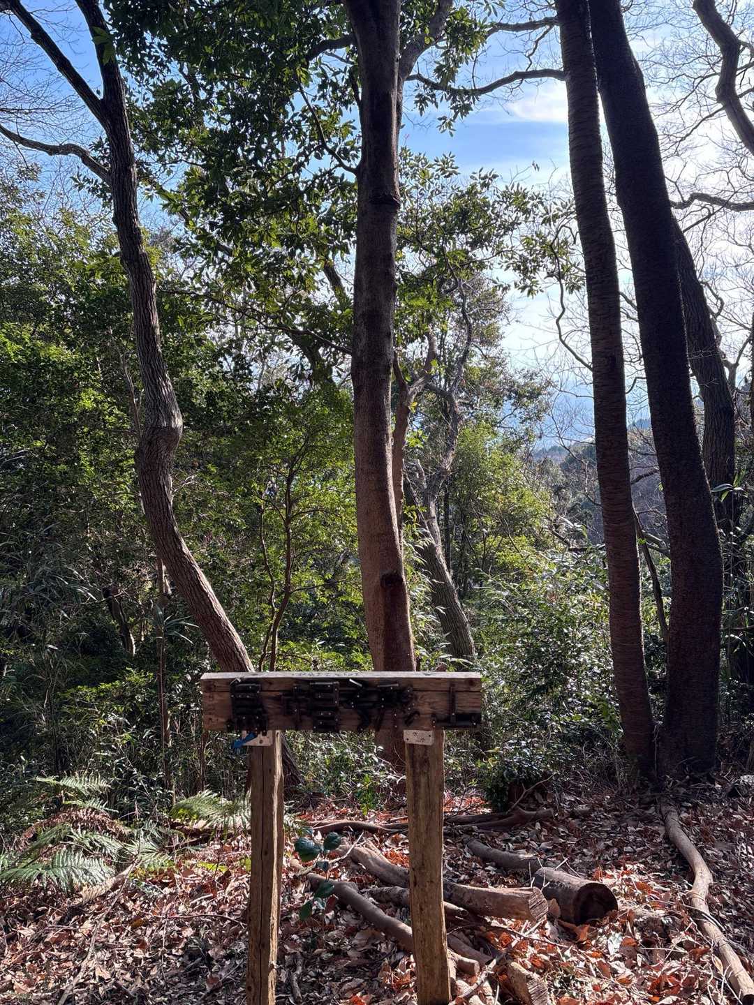鳥帽子山