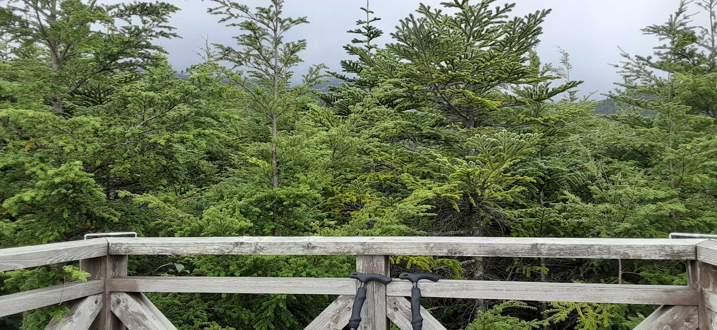 晴れていれば継子岳が目の前に。