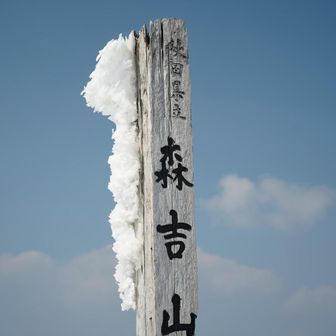 エビの尻尾のなごり？