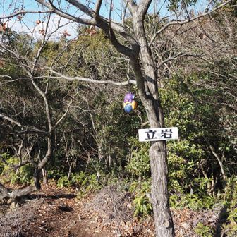 よく見ると
フリーザ様がいらっしゃいます