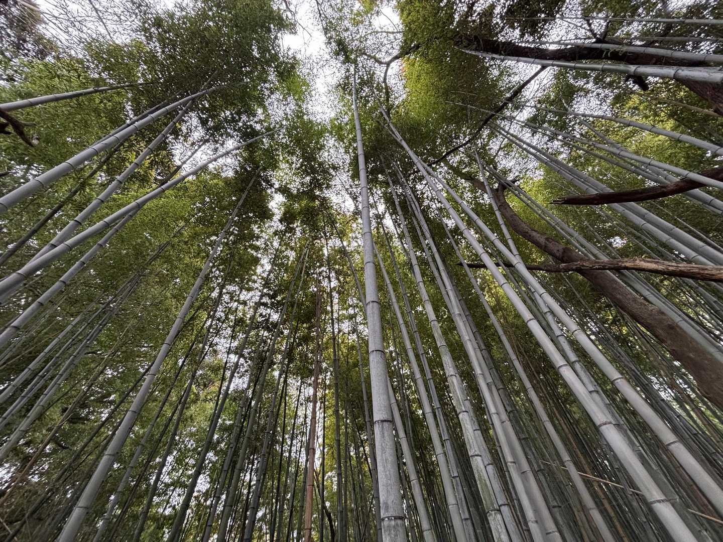 船来山登り口-船来山-郡府山-船来山散策遊歩道入り口 周回コースの写真