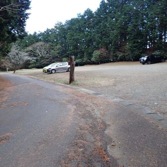 みなさん、こちらから歩かれているようです