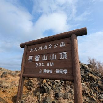 21日(日)
前日、忘年会で三次会まで騒ぎ
お疲れモード🍺🍷🤣
旦那は、下山してラーメン食べるためにここでお別れ😆