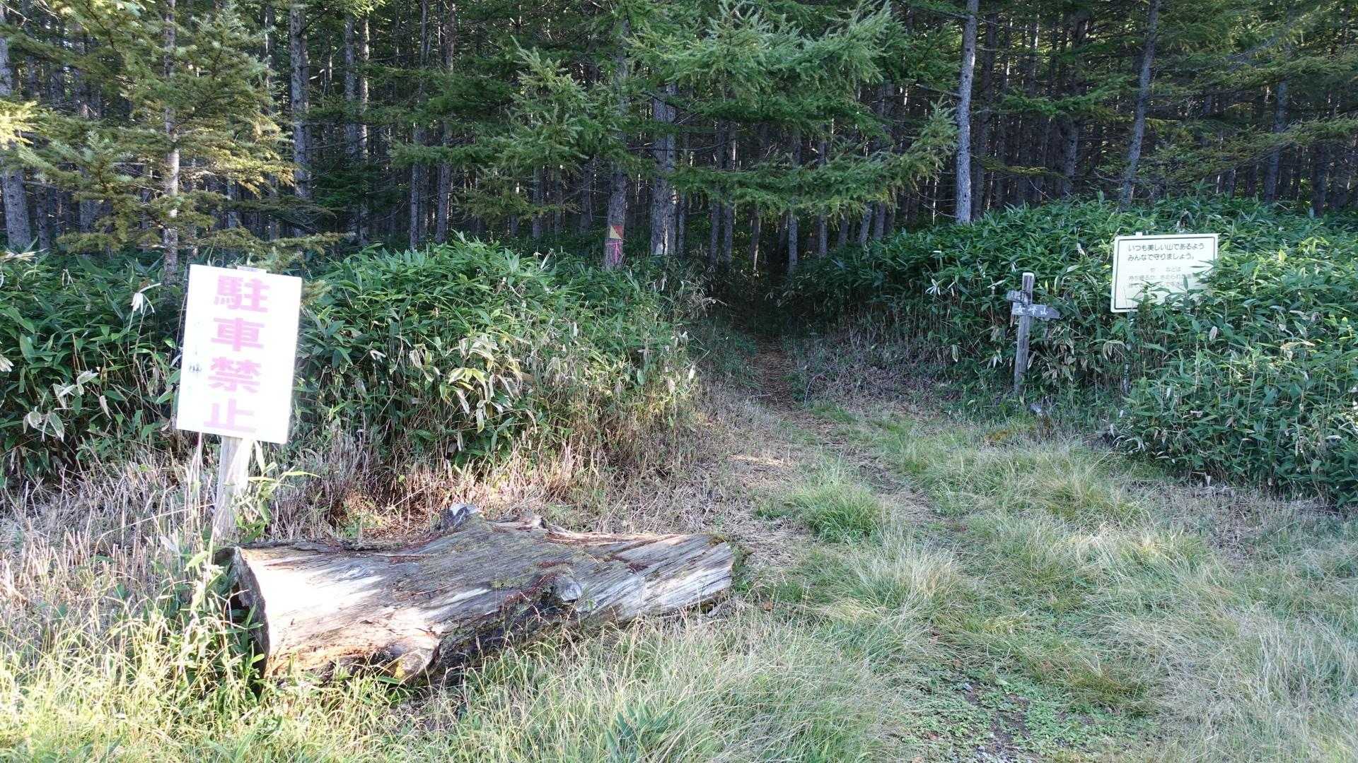 登山口から先は、綺麗に刈払いされていました。