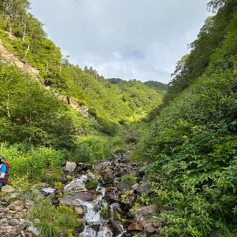 沢沿いを下る、一ノ沢ルート
水も澄んでいて、昨日の雨の影響はほぼ無い感じ
