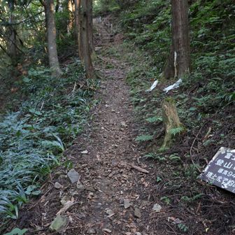 富士写ヶ岳へは左へ進みます。