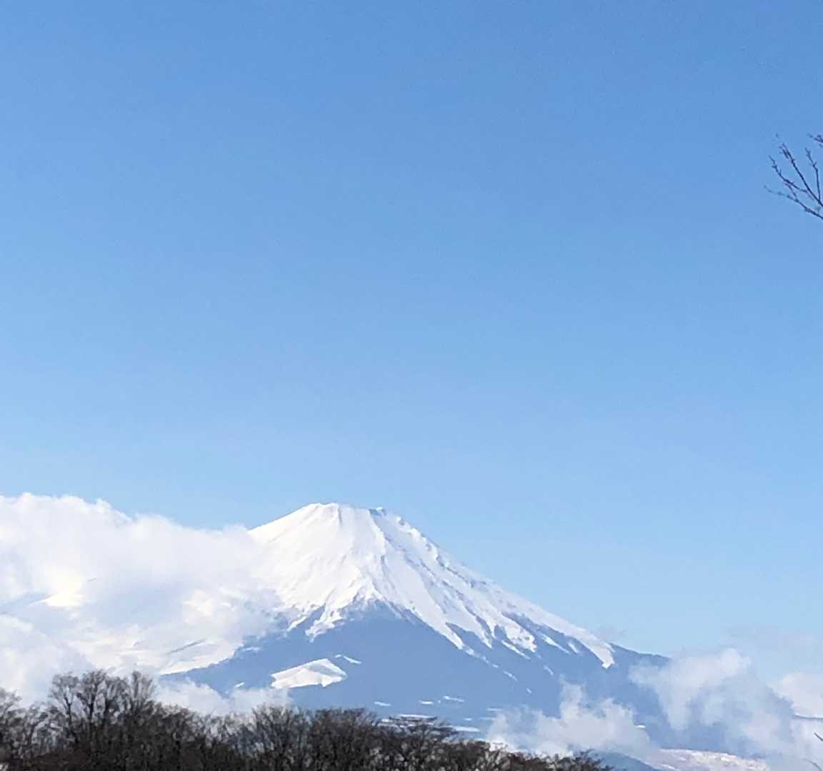 この後、すぐに見えなくなりました😅
山の天気は本当に気まぐれ❗️