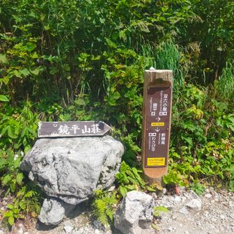 山行開始から約4時間。シシウドヶ原に到着👍広くてベンチがある場所🖐️だいぶしんどそうだから、ここで一旦お昼ごはん休憩にした😋

ここで帽子を脱いだ時に…サングラスが無いことに気づく🤯秩父沢で手ぬぐい濡らした時だ😖もはや戻れない…山に不法投棄😣ごめんなさい🥺