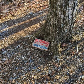 北峰は控えめの山頂標