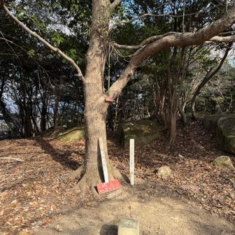 城山
一等三角点