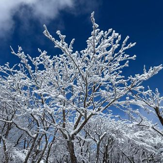 青すぎるよ✨️