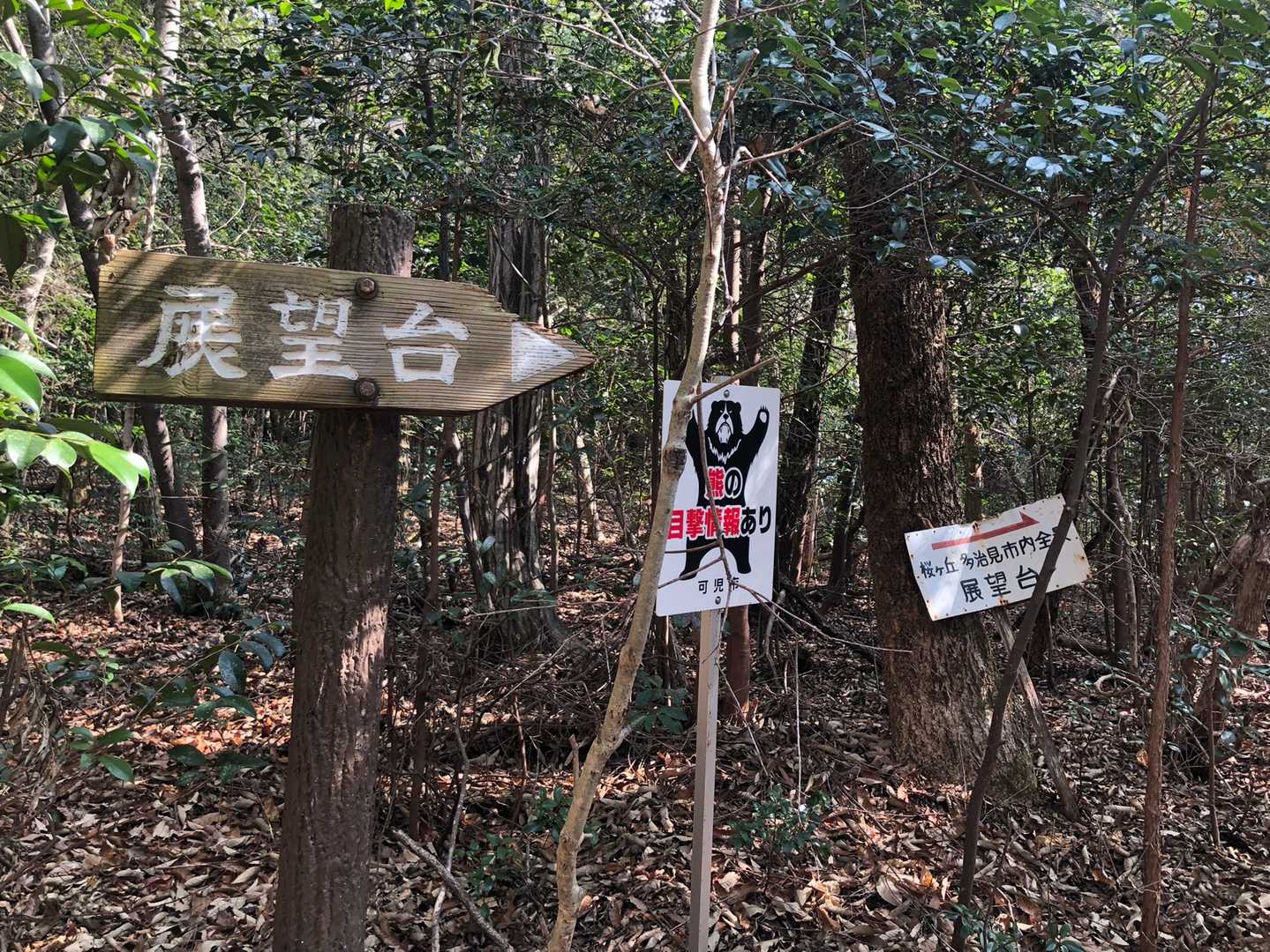 ⛩〜展望台はこっちのルートを
地元の人はよく使われるみたいです。
たしかに明るいし可児の街並みもよく見えます。
