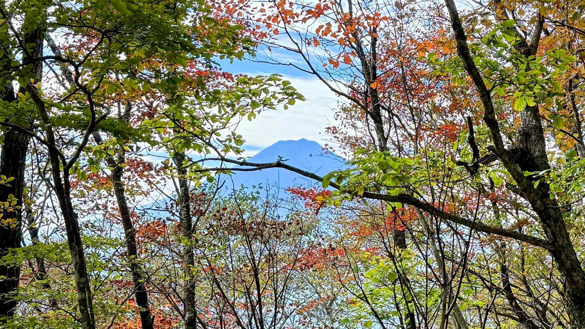 三ツ峠入口-旧御坂峠-コブ岩ノ頭-黒岳-すずらん峠-破風山 縦走コースの写真