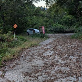 道路脇のスペースに停めます
