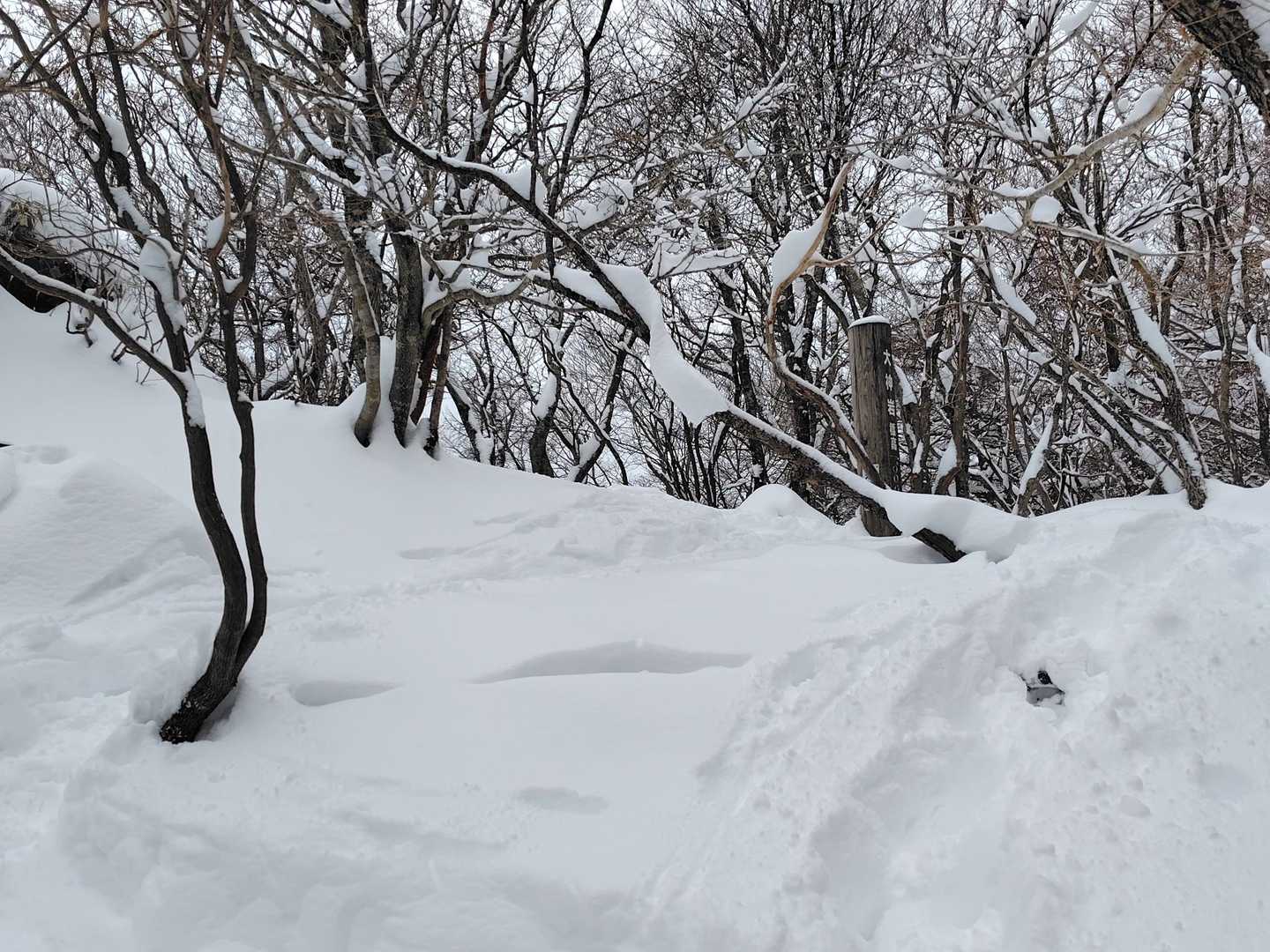 大神岩に到着🙌
トレースがかなりズレたところに付いています👣
チェーンスパイクに雪玉が付くのでアイゼンに変更しました🦿
