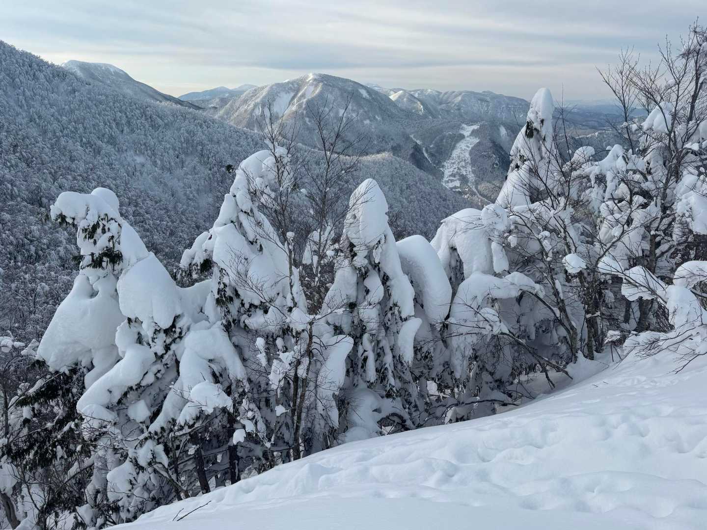 この辺りも水分の多い重そうな雪☃️