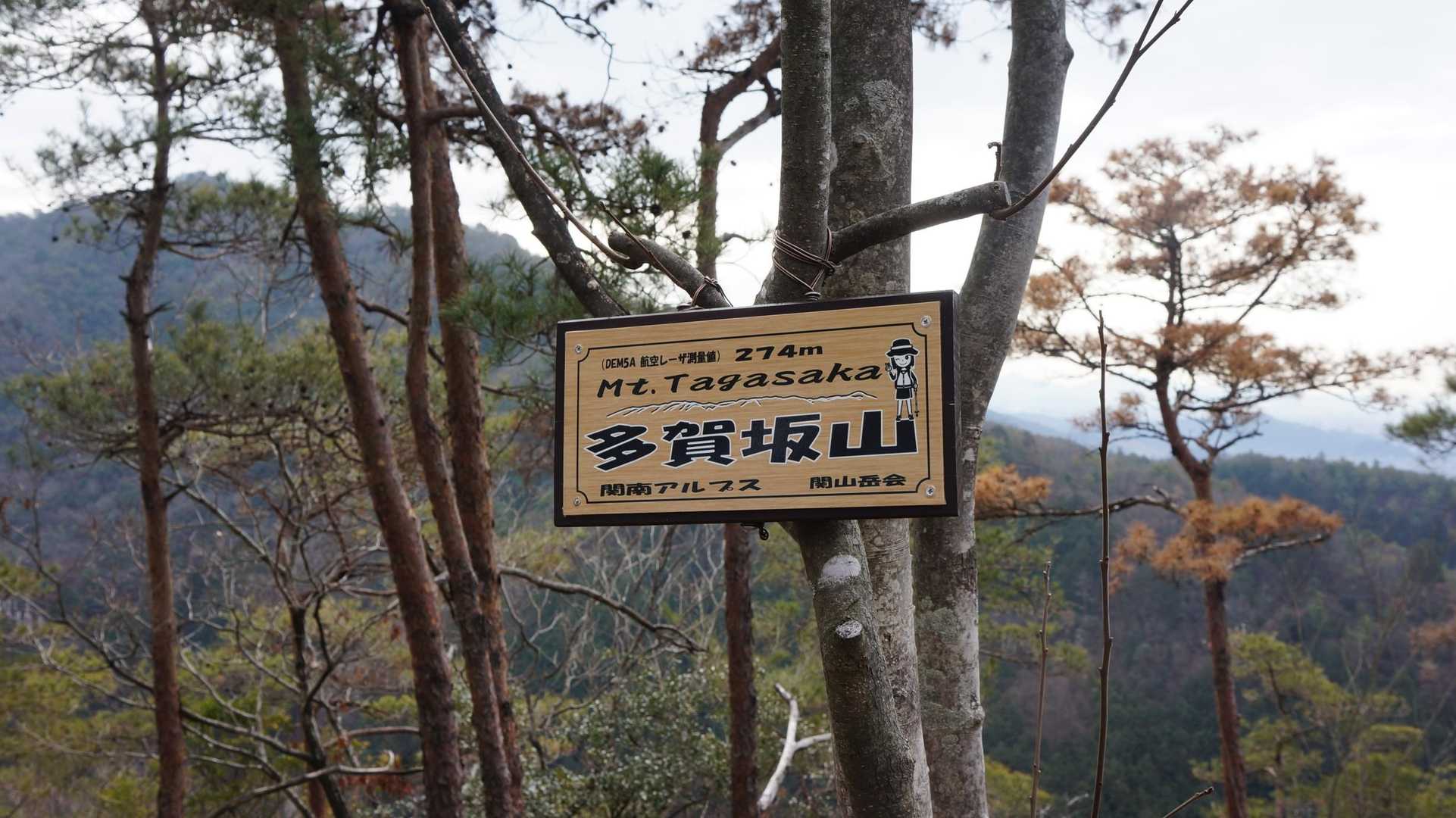 いくつかピーク有るんだね