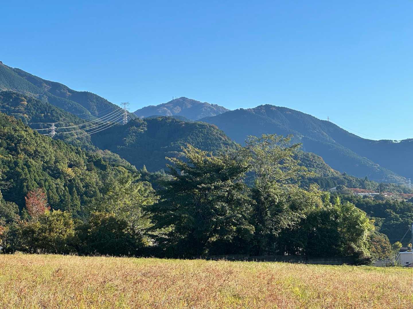 大山さん、おはようございます☀
