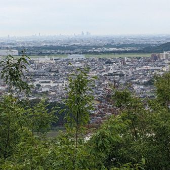 途中の東屋から南の景色〜✨
薄っすらと名古屋のビル群🏢