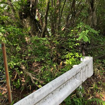 物聞山へはここからのはずですが…
左のフェンスの向こうは崖で、ガードレールを超えるのもちょっと躊躇われます。
右へ少し戻ると柵を乗り越えられそうな場所がありますが、立入禁止の表示があるのでダメですね。

物聞山には神社跡があり、昭和初期までは信仰の山だったはずですが、現在はロープウェイの軌道の下に忘れ去られています。
行ってみたいけど今回は諦めます。