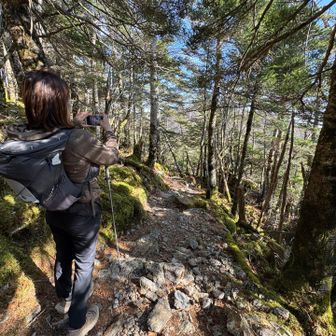 この辺り八経に似てる