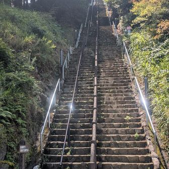 急勾配258段　下りならいいかなと計画したけど膝にくる😰