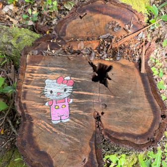 タタラ山山頂へは道を逸れてここから進みます