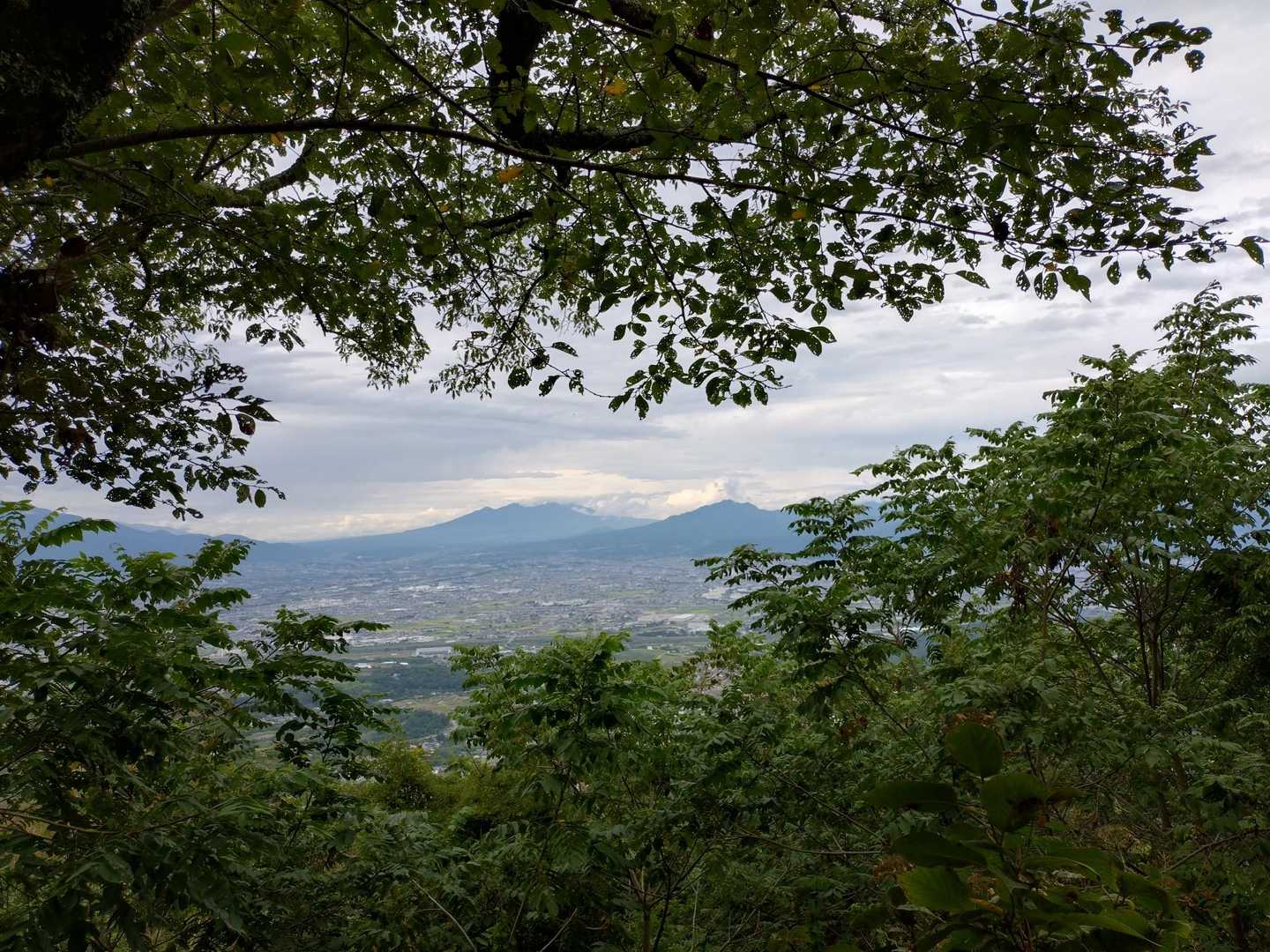 山之神登山口-たいら山 往復コースの写真