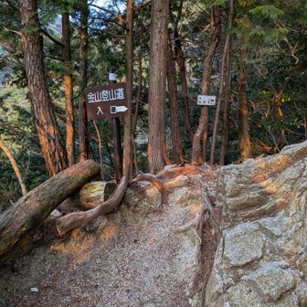 登山道入り口に到着。