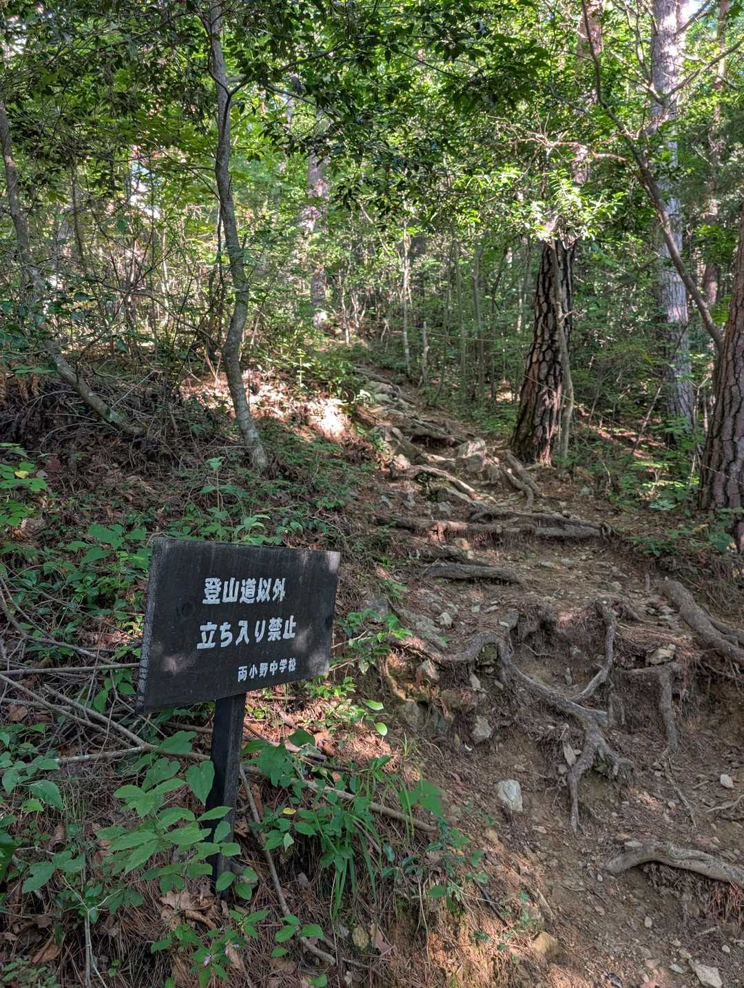 ここは松茸山のようで、登山道以外立入禁止‼️の看板あちこちに
岐阜県の誕生山みたいに、シーズンは入山禁止ではないようです