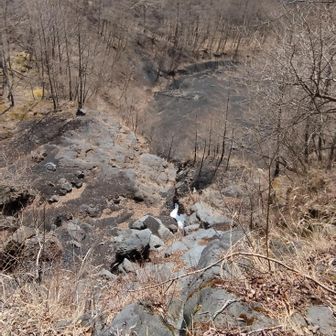 「１万年前の溶岩流」ってAIが言ってた
知らんけど