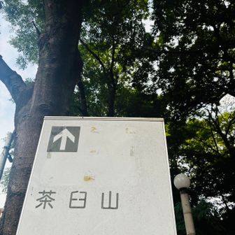 茶臼山へ