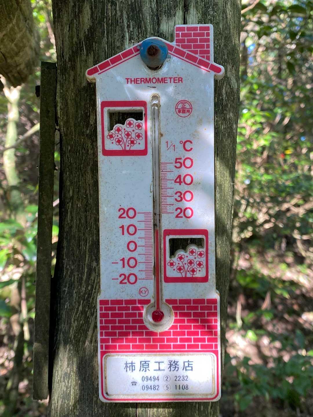 10℃くらい